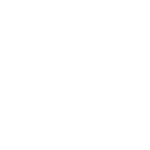 ndimg icononcolor1 04