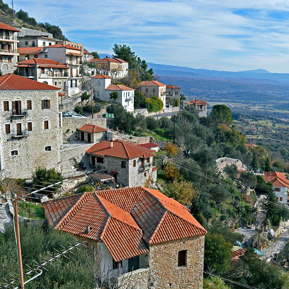 home image 02